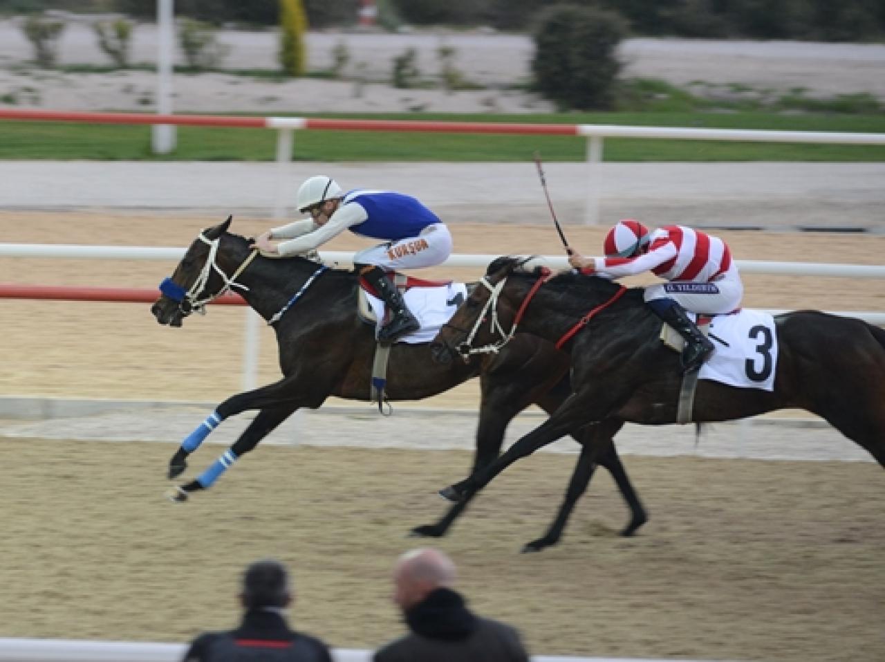 Antalya'da düzenlenen G3 koşuyu Lion Victory kazandı