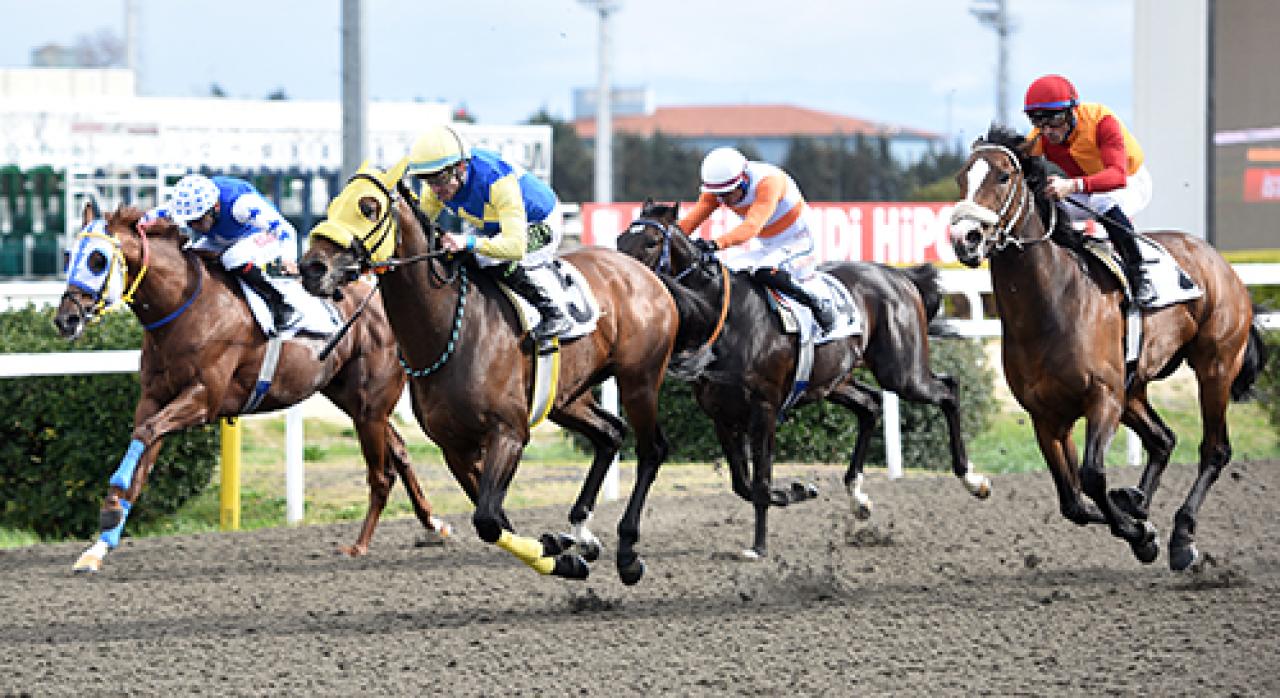 Galata Kulesi Koşusu'nu Make A Fire kazandı