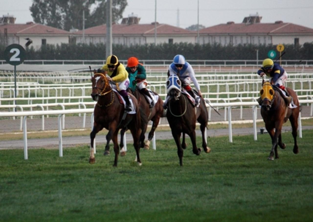 Adana’daki A3 koşuda Zala Bey pist rekoru kırdı