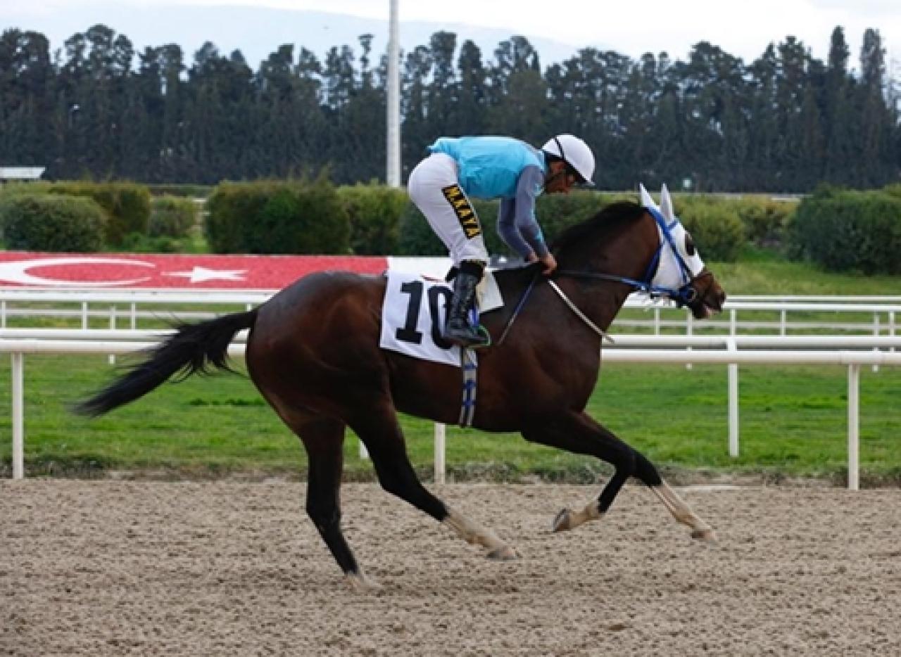 61. Ege Derbisi’nde zafere King Farrier uzandı