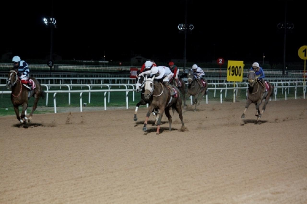Tarsus Ziraat Odası Başkanlığı Koşusu'nu Bebesha kazandı