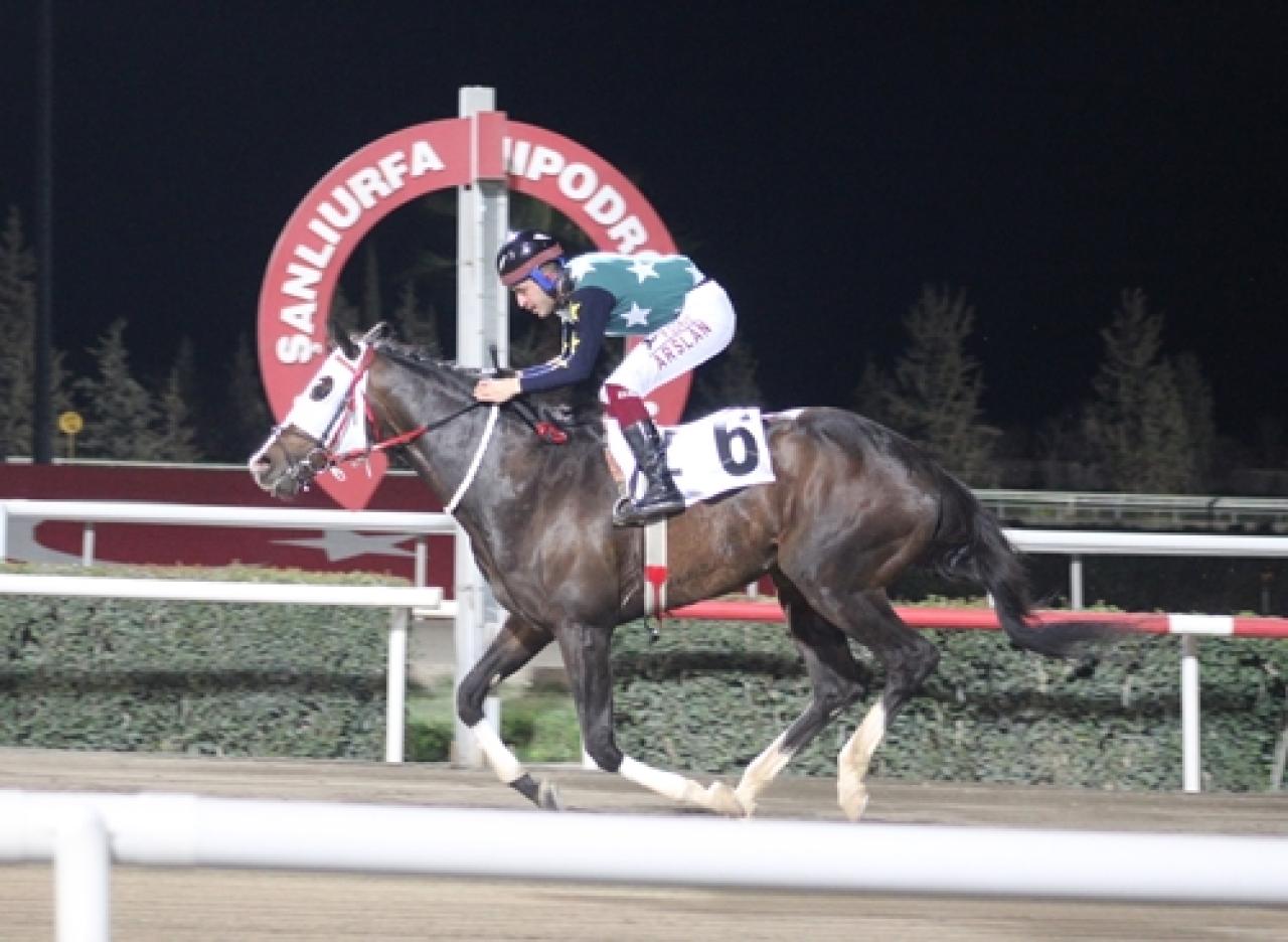 Şanlıurfa Büyükşehir Belediye Başkanlığı Koşusu'nu Hakimşah kazandı