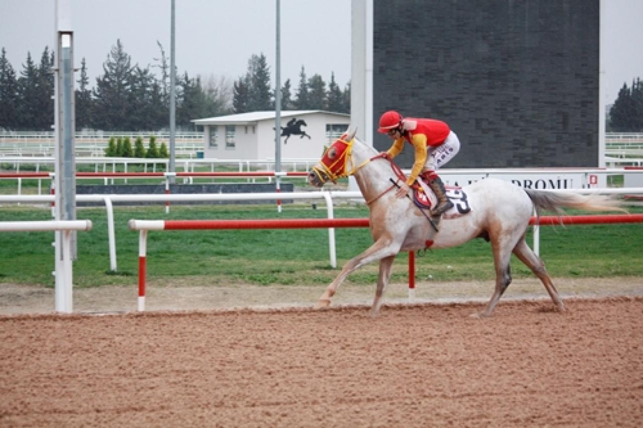 Adana Vali Koşusu'nu Mahzunkral kazandı
