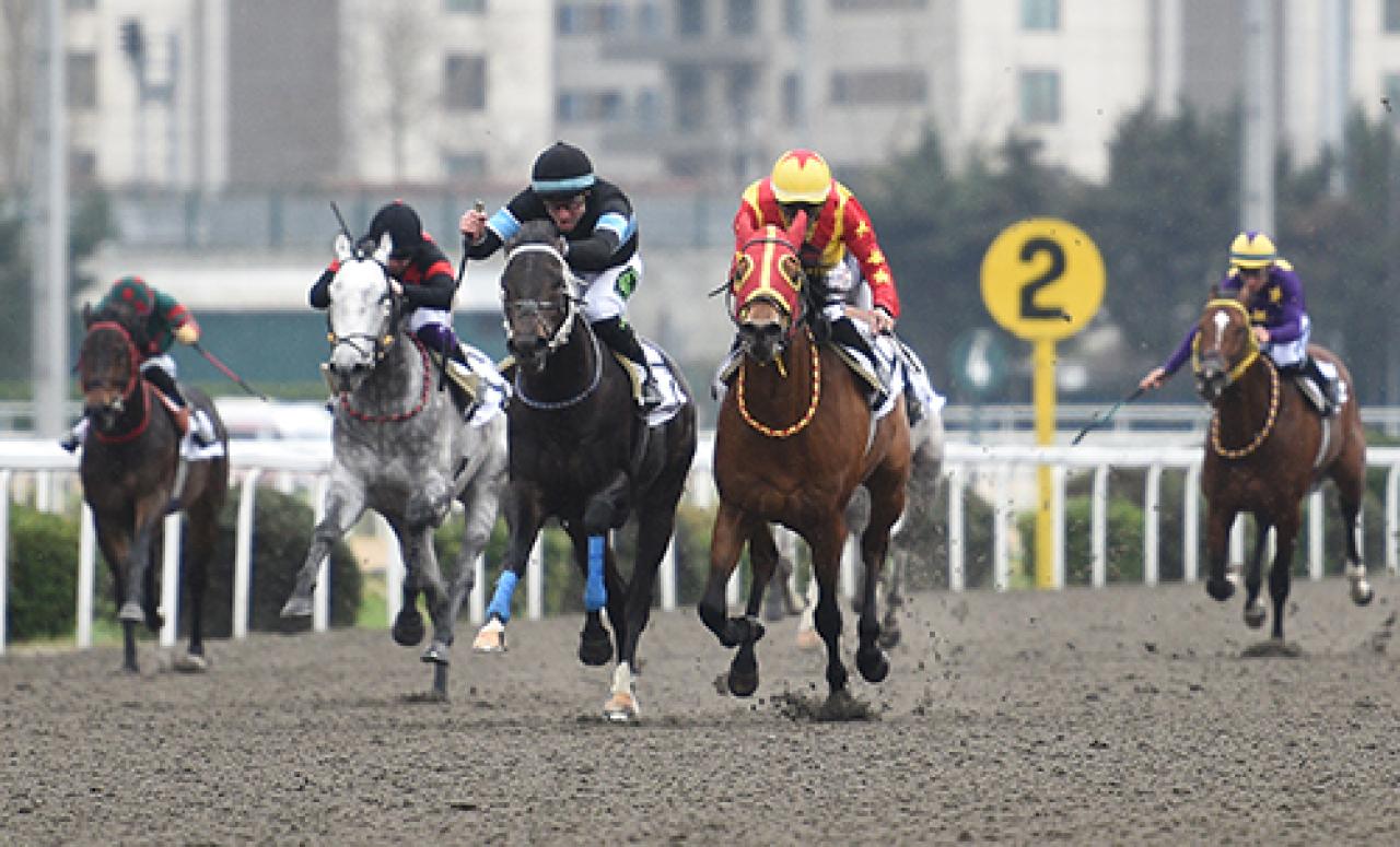 Mevlana Koşusu’nu My Private kazandı