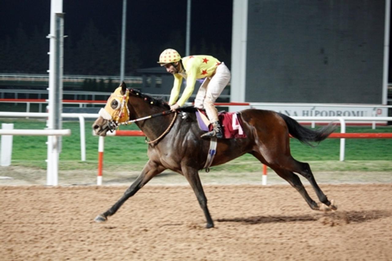 Ali Rıza Ongun Koşusu’nu Mr Jingles kazandı