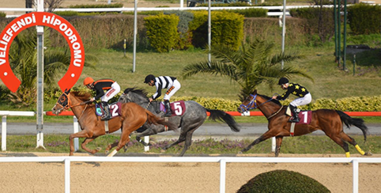 Merhum Asli Üyemiz M. Muhlis Akalın'ı saygıyla anıyoruz