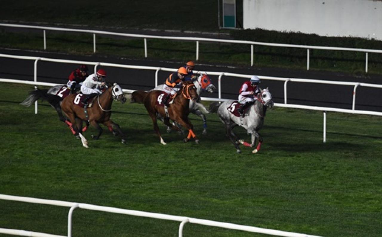 Muhittin Ekiz Koşusu'nu Pıtır kazandı