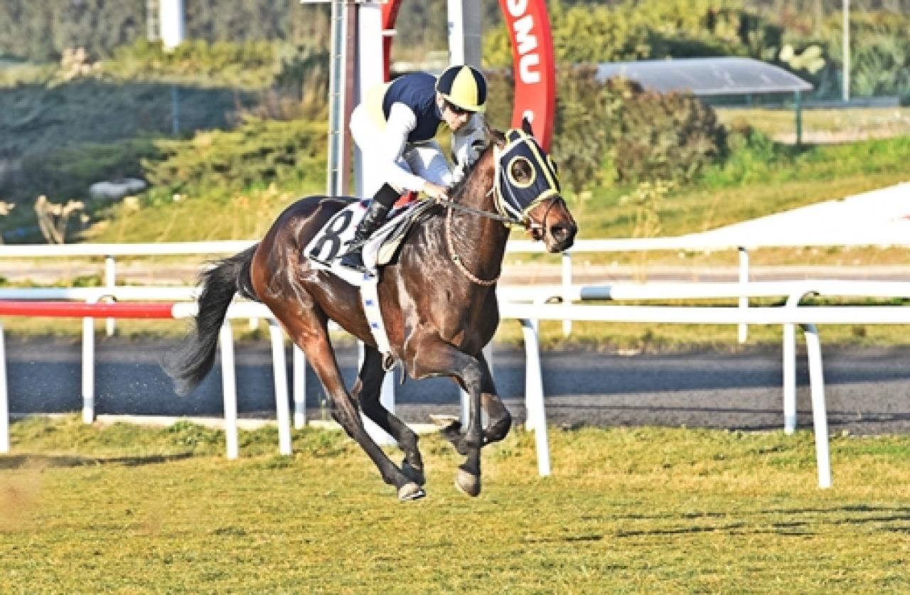 Kurucu Üyemiz Fevzi Lütfi Karaosmanoğlu ve Asli Üyemiz Sadık Giz'i saygıyla anıyoruz