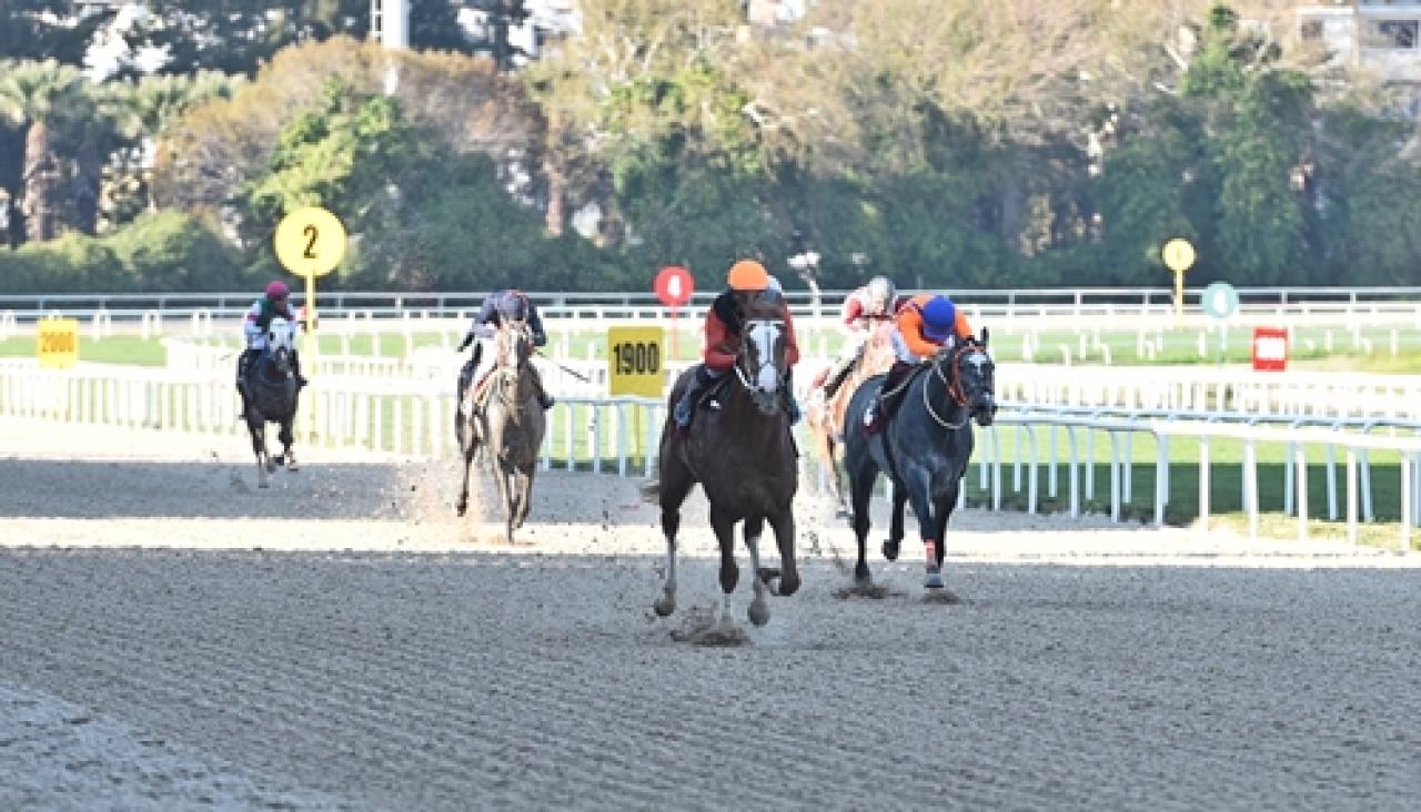 Sadık Giz Koşusu'nun galibi Wardenclyffe oldu