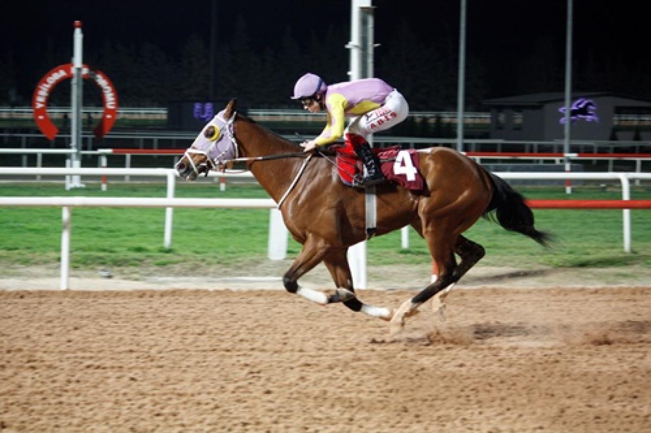 Çukurova Gazeteciler Cemiyeti Koşusu'nu Repair Man kazandı