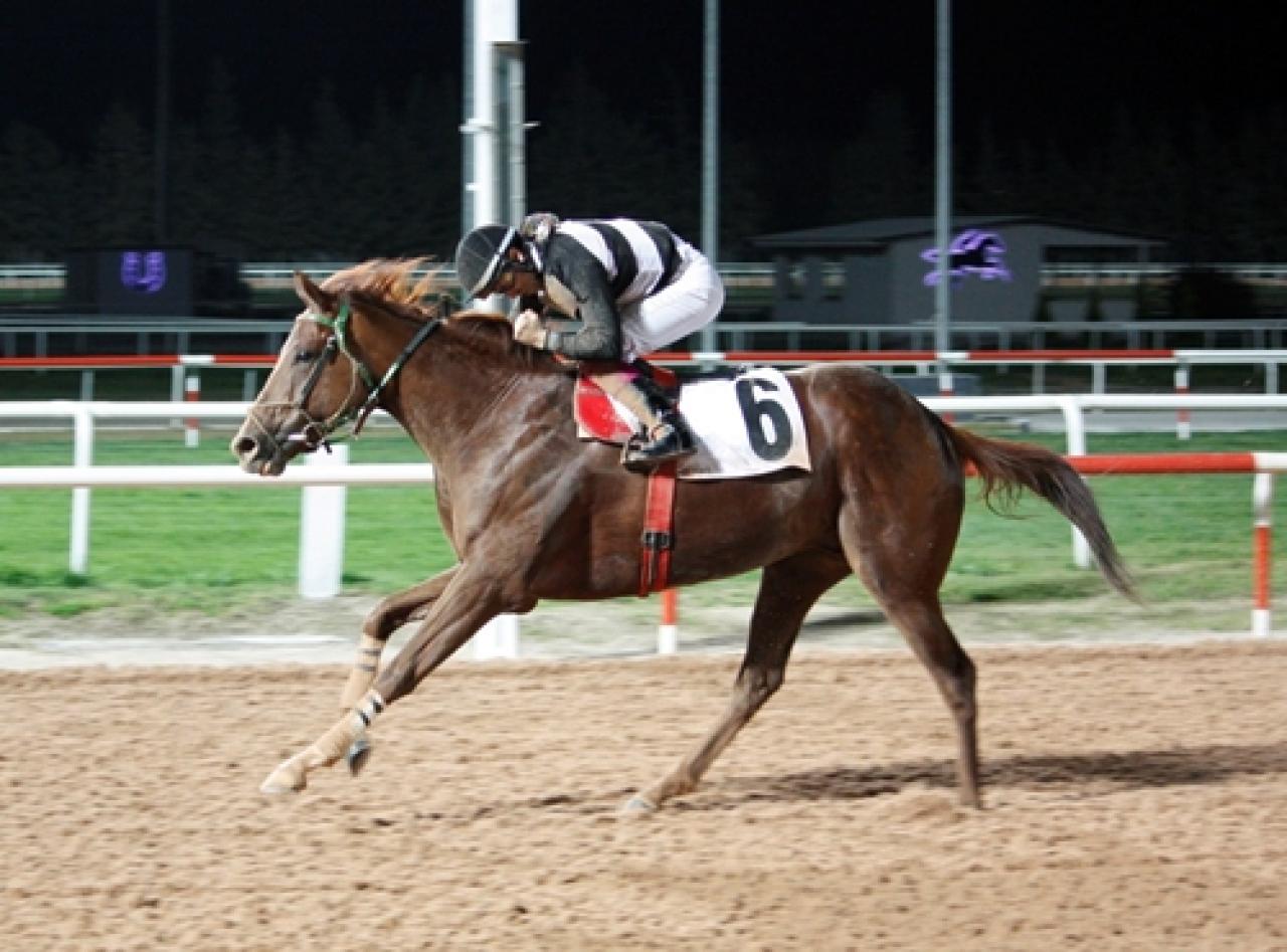 Akdeniz Derbisi’nde zafer üst üste ikinci kez Osman Bey’in oldu
