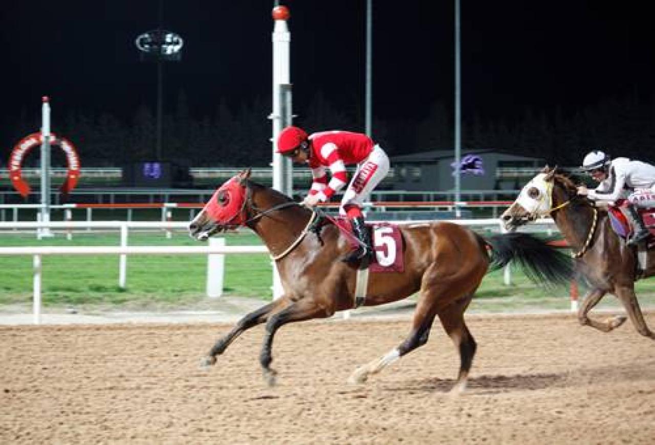 Yasin Milli Koşusu’nda galibiyete Bordomavi ulaştı