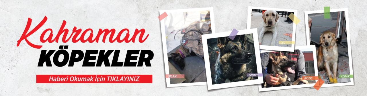 ‘ŞİLAN’ KAHRAMANLAR ARASINDA