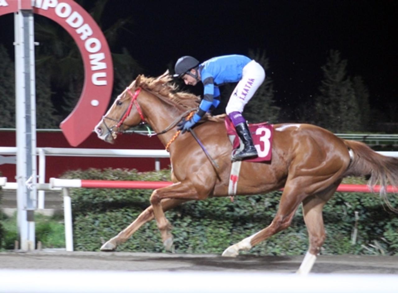 Şanlıurfa Türk Hava Kurumu Koşusu’nu Bogota kazandı