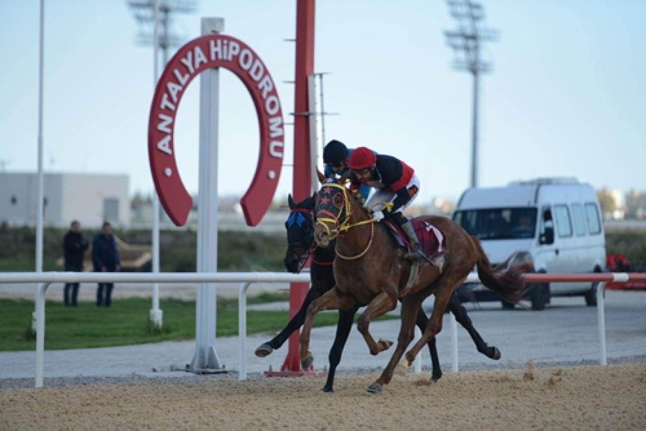 Antalya Emniyet Müdürlüğü Koşusu'nu Another Boy kazandı
