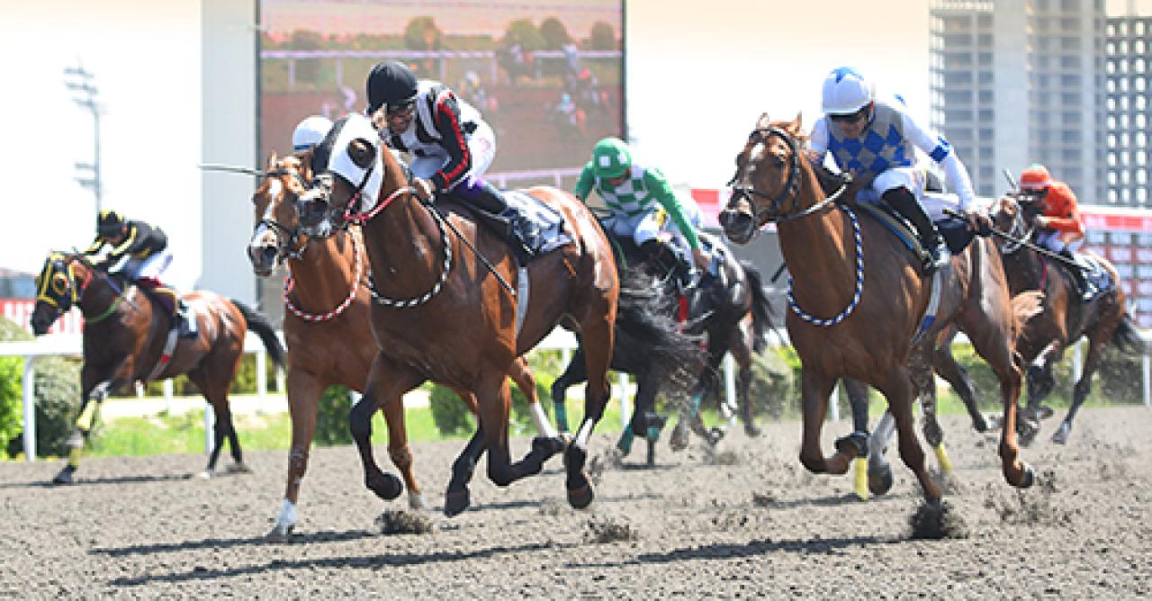 Türk Kalp Vakfı Koşusu’nu Harlan Draka kazandı