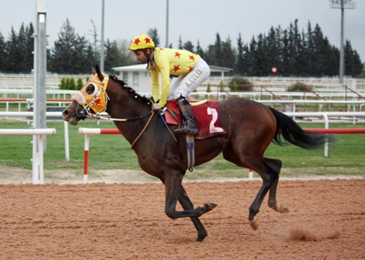 Esat Özbilen Koşusu’nda galibiyete ulaşan Mr Jingles oldu