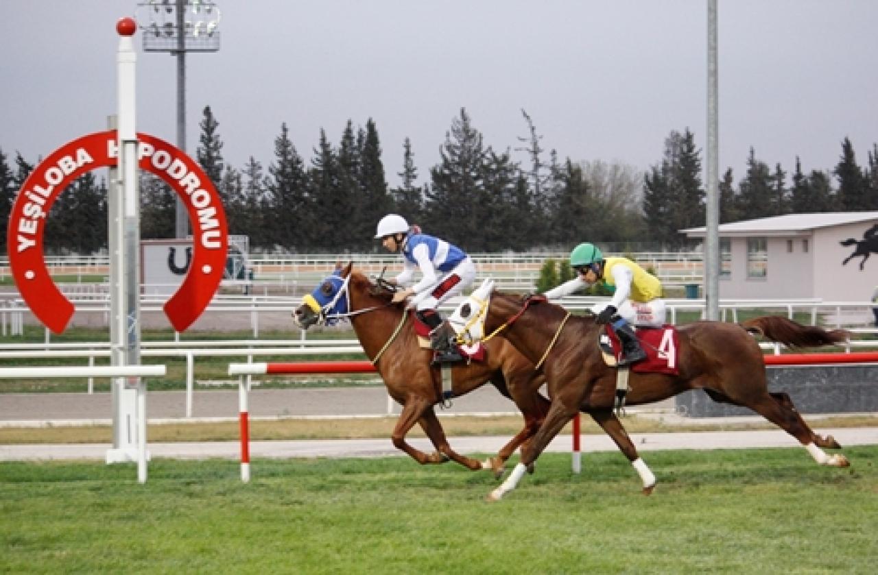 Adana Veteriner Hekimler Odası Koşusu'nu Şahin Mahmut kazandı