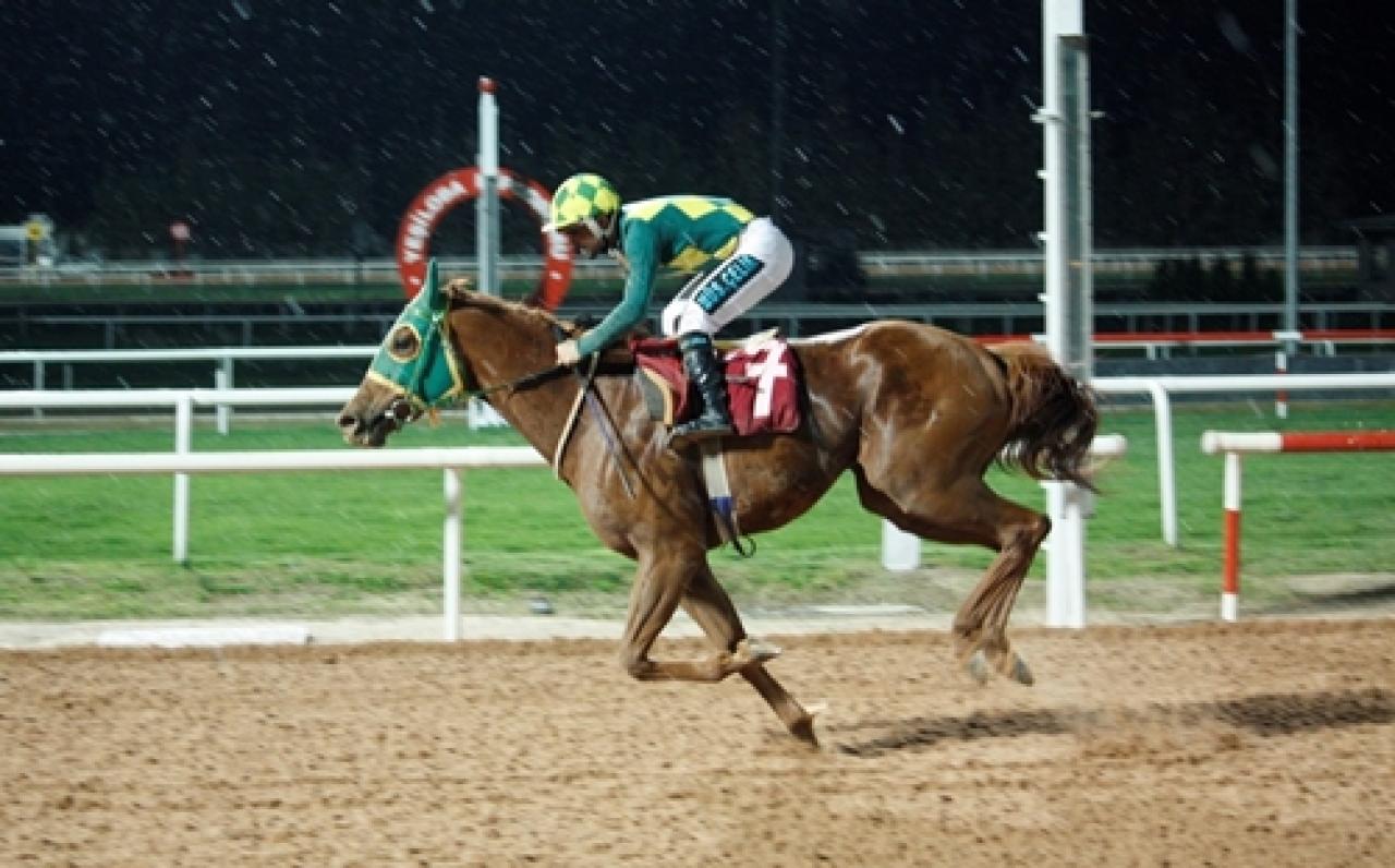 Adana Emniyet Müdürlüğü Koşusu'nu Mind And Life kazandı