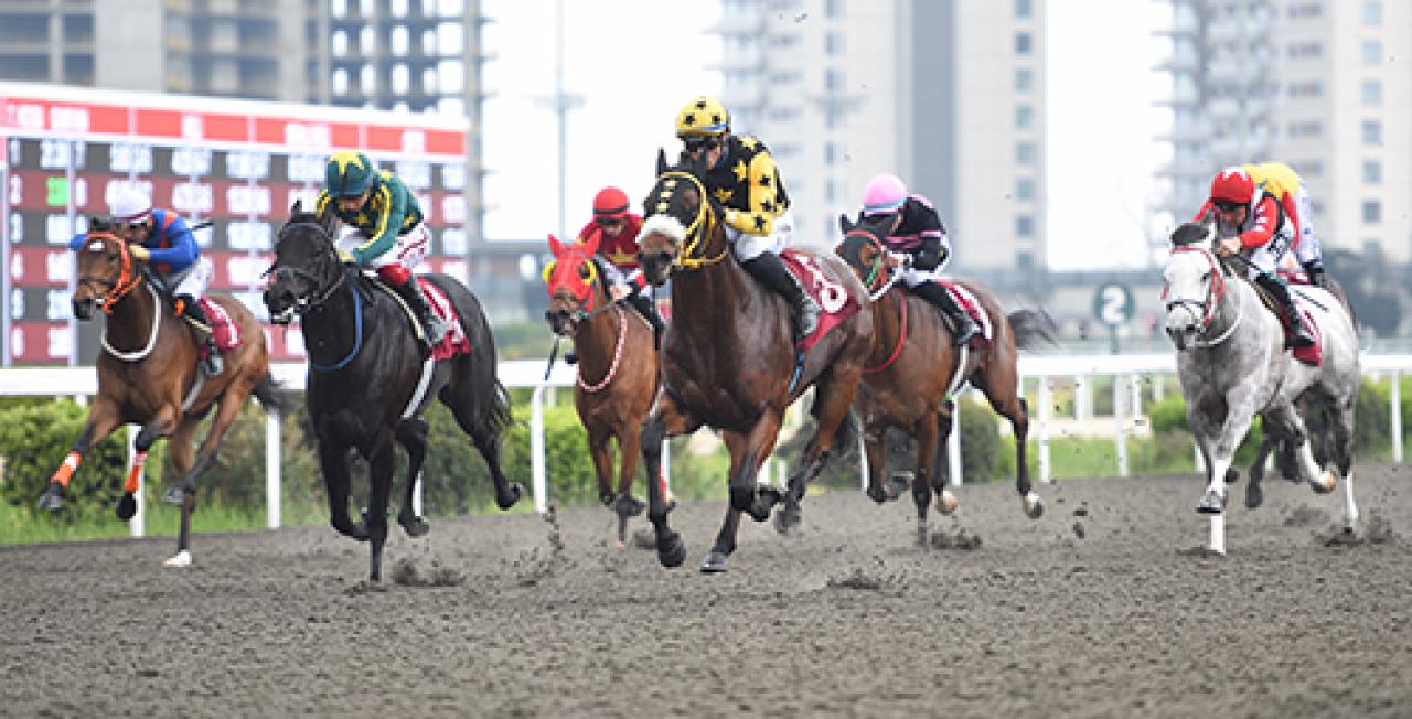 Serbest Handikap Orhan Meker Koşusu'nu Papagallo kazandı