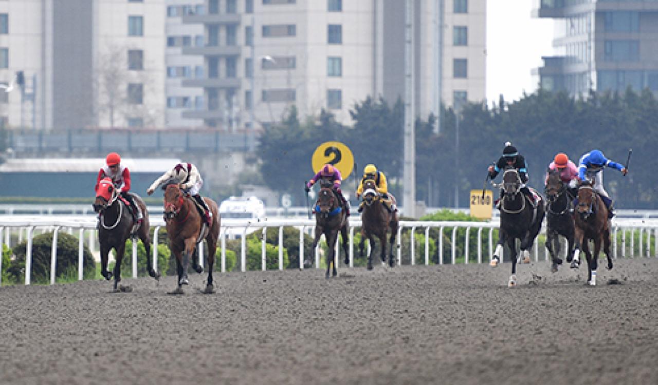 Ergin Talay Koşusu'nun galibi Alanalp oldu