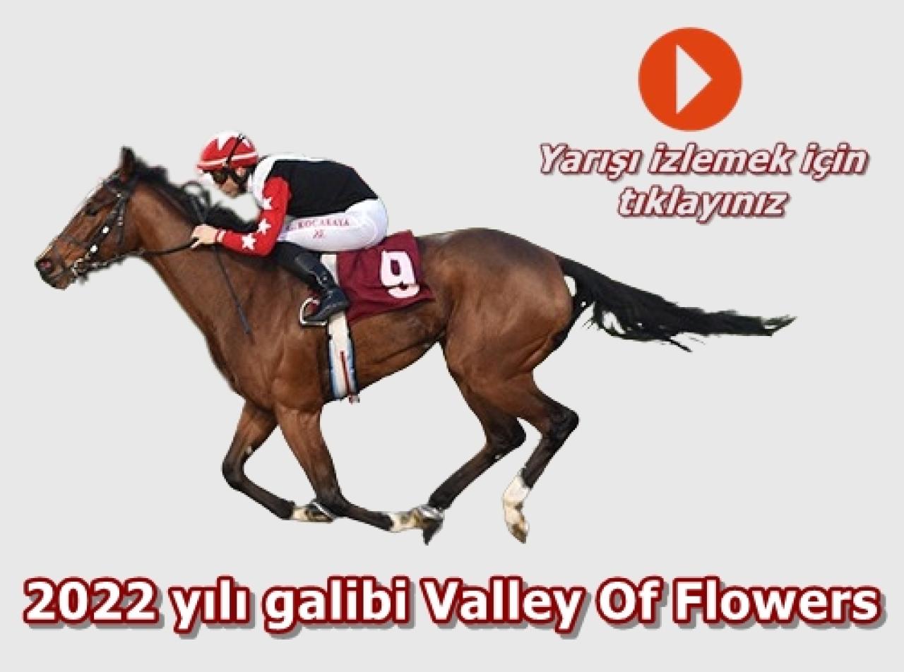 Merhum Asli Üyelerimiz Sedat Özcan ve F. Derya Beşikçi'yi saygıyla anıyoruz