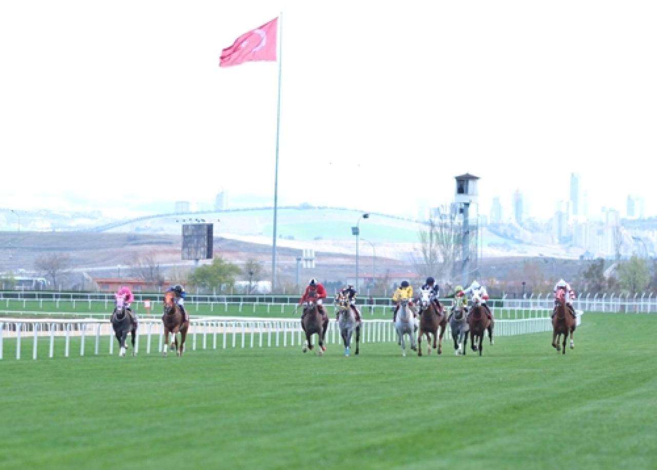 Serbest Handikap Cevdet Karataş Koşusu'nu Berkenin Kızı kazandı