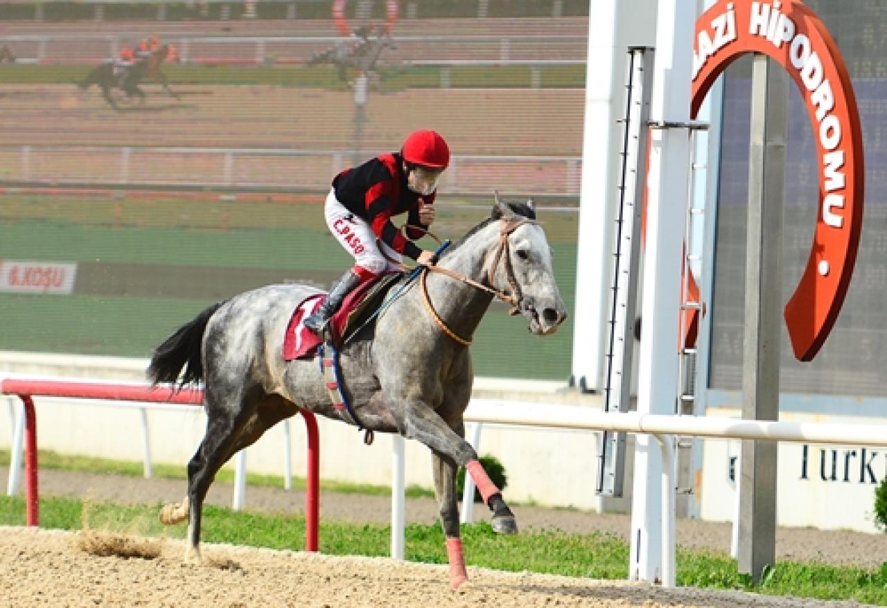 Selami Kavçın Koşusu'nu Cafer Bey kazandı