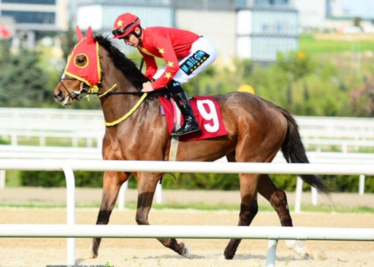 Bursa Emniyet Müdürlüğü Koşusu'nu Hot Toccet kazandı