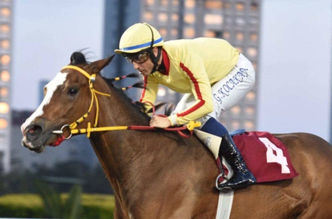 Sedat Özcan Koşusu’nda galibiyet Bonny Bomb'un oldu