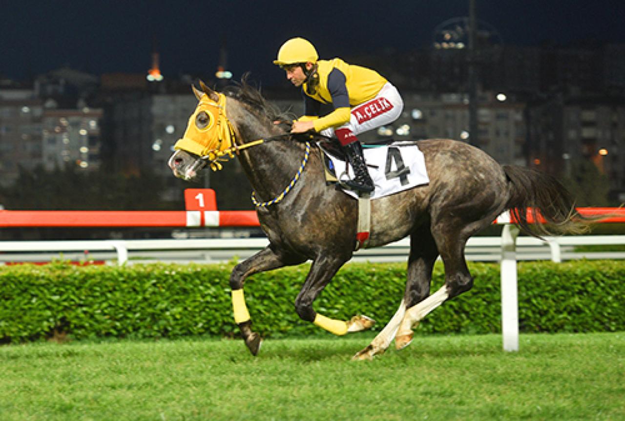 Mohaç Koşusu'nu Deniz Efe kazandı