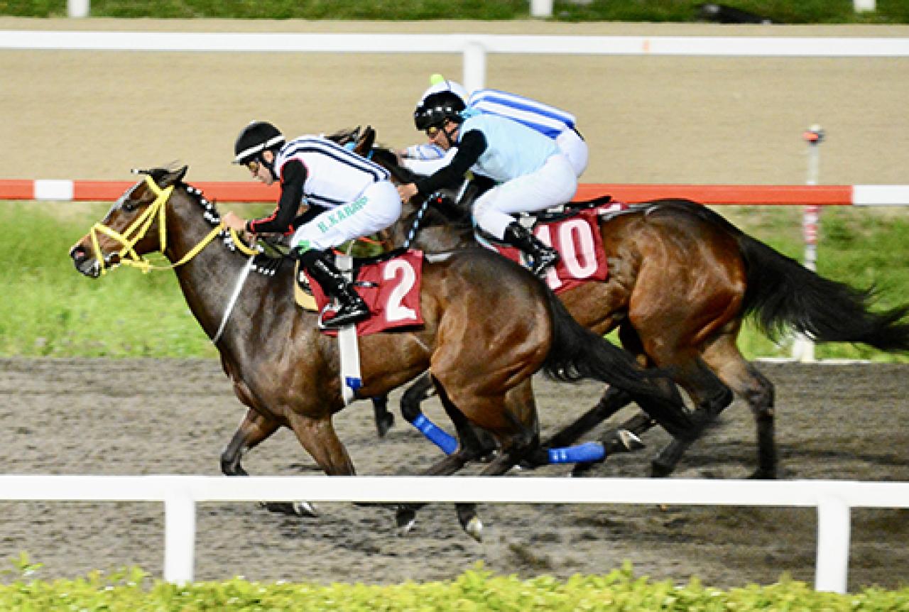 F. Derya Beşikçi Koşusu'nu Anarres kazandı