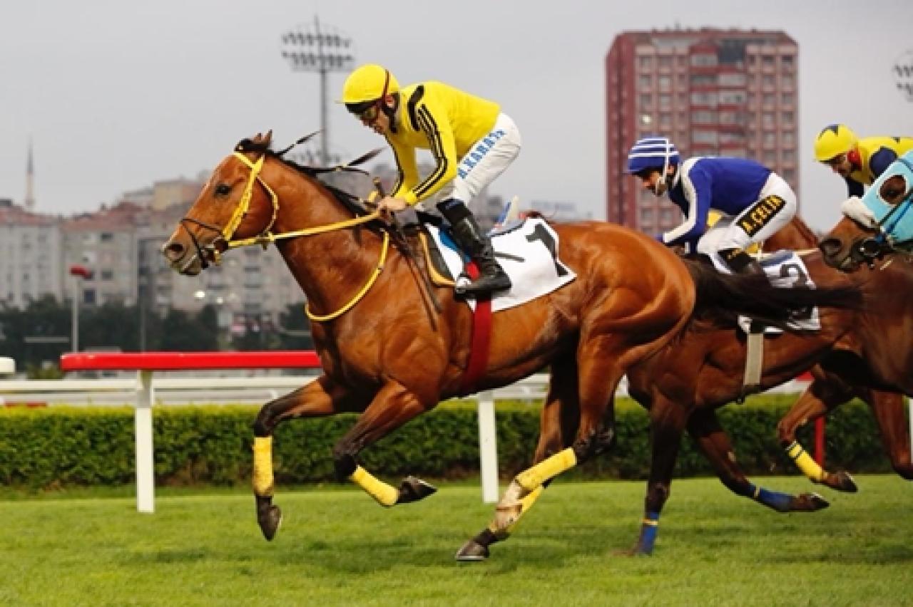 Eski Başkanlarımızdan Ali Doğan Ünlü ve Asli Üyelerimiz Sadık Eliyeşil ile Şükrü Dinçel’i saygıyla anıyoruz