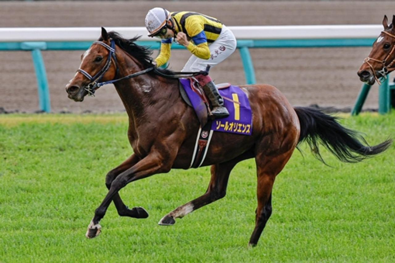 Japonya’da Erkek Tay Deneme’yi Sol Oriens kazandı