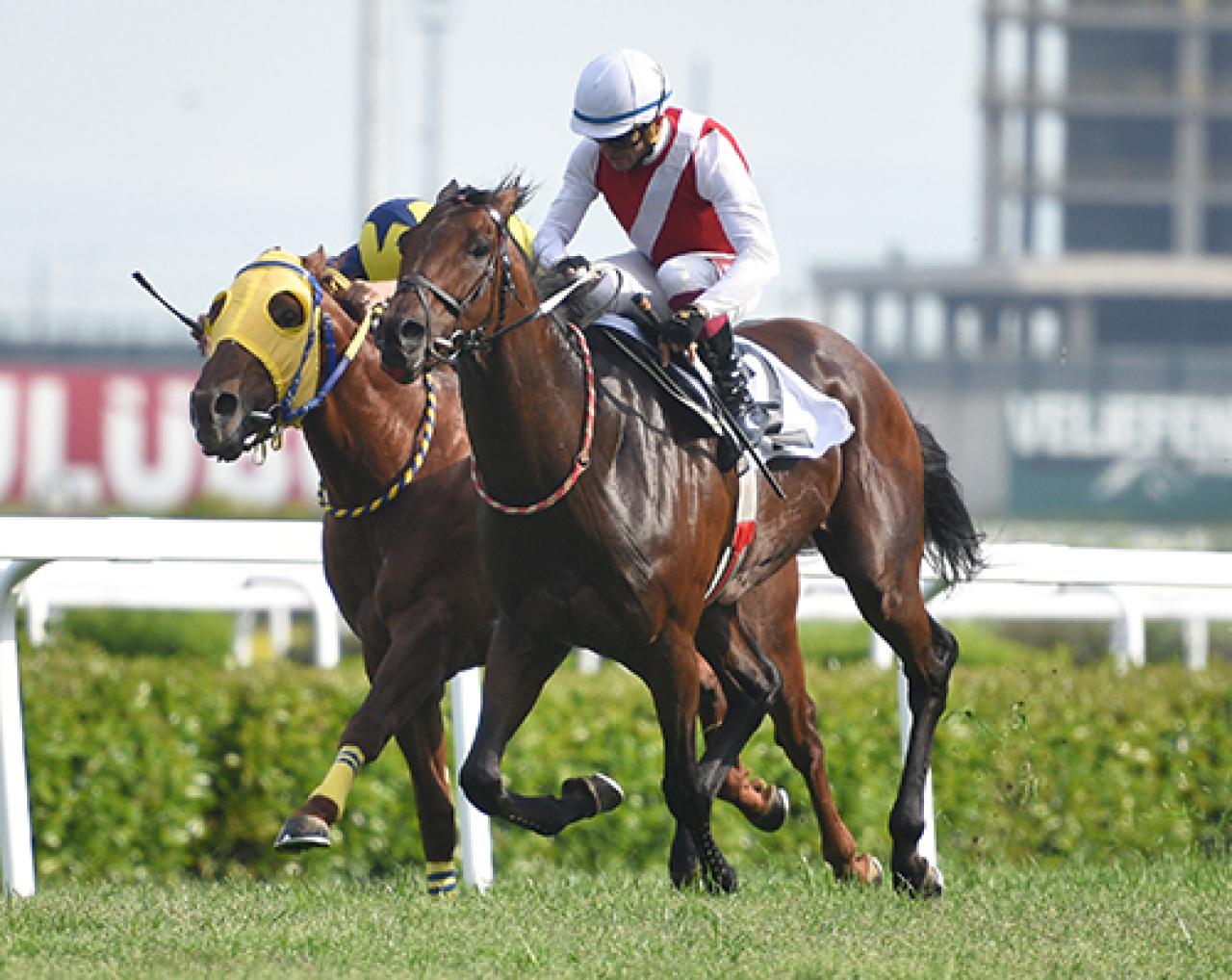 Ali Doğan Ünlü Koşusu'nun galibi Tractor oldu