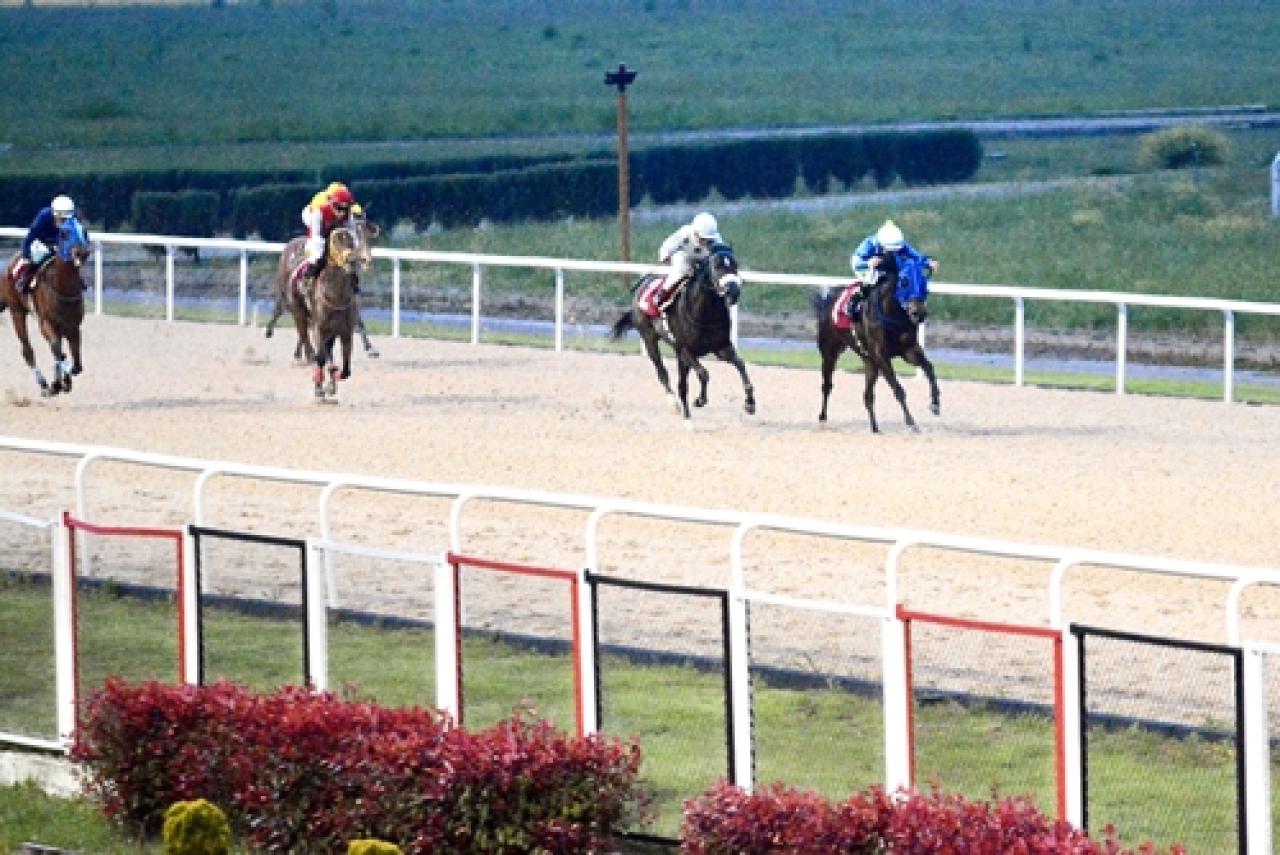Ali İhsan Kaya Koşusu'nu Jambo Jambo kazandı