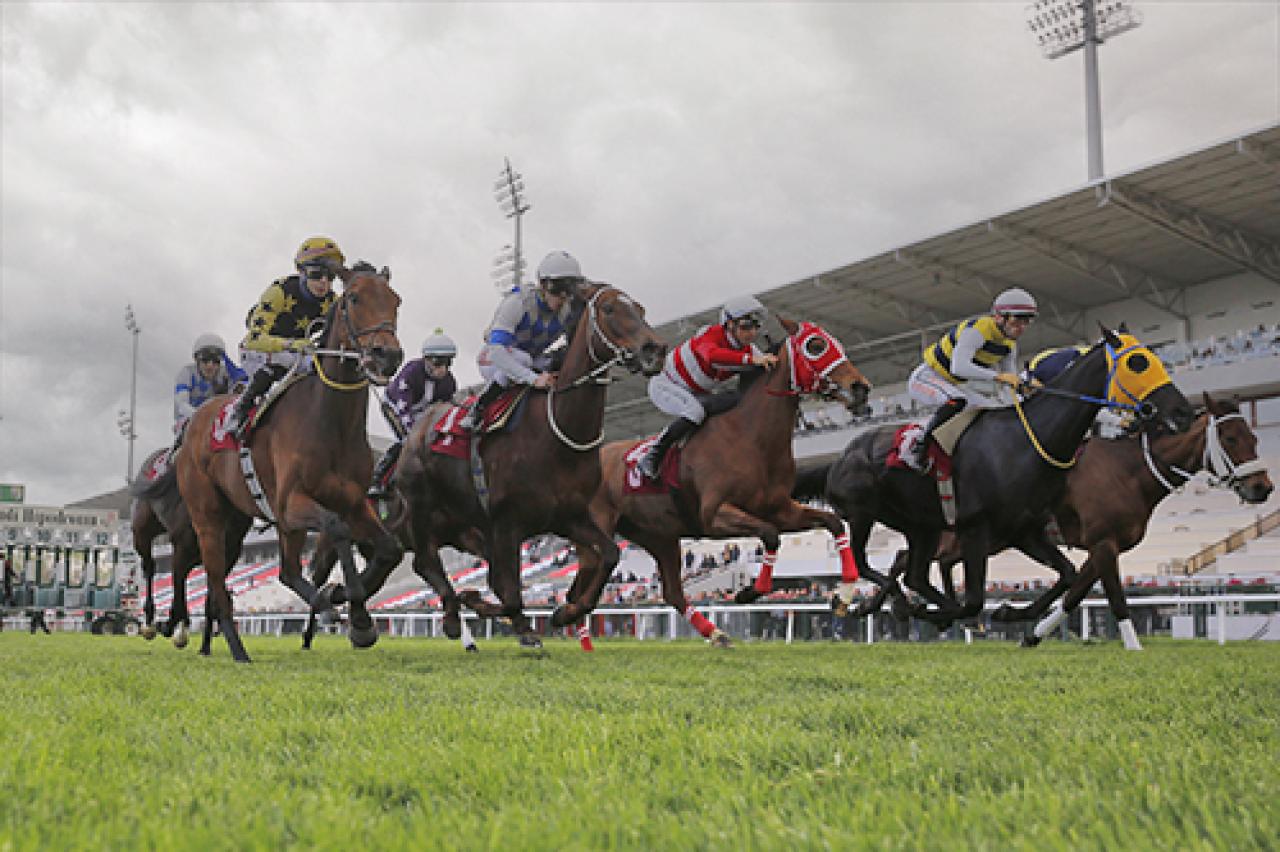 Hatice Celaloğlu Koşusu'nun galibi Mucize Kız oldu