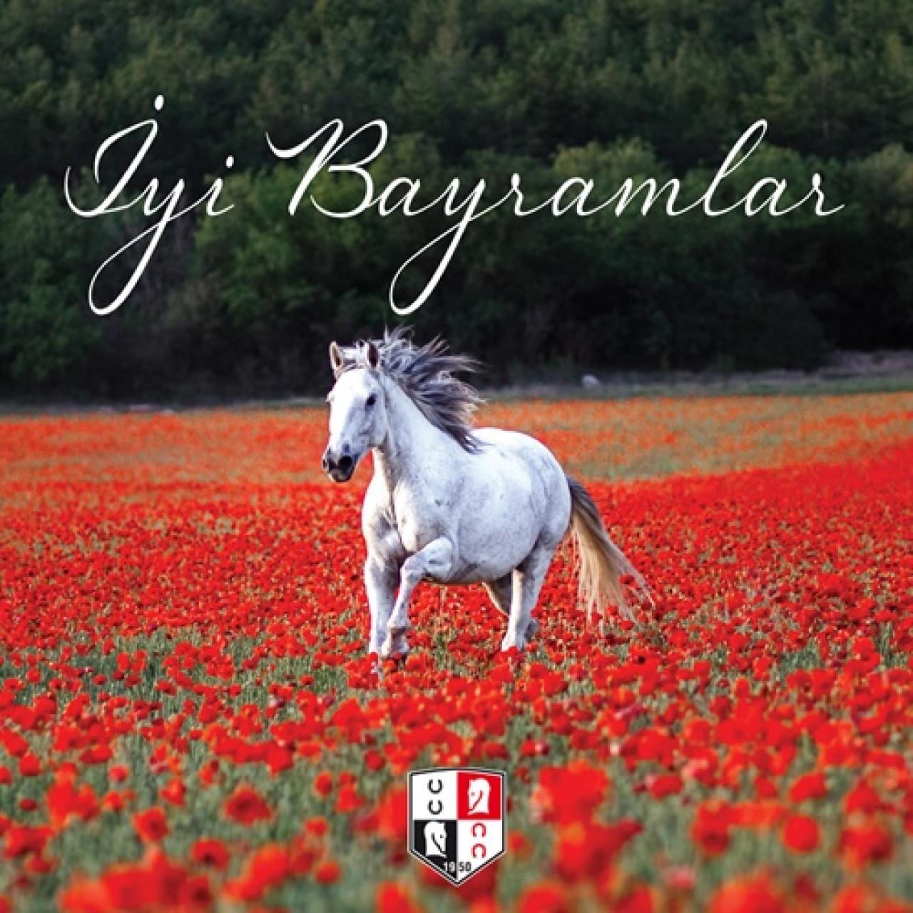 Ramazan Bayramımız kutlu olsun