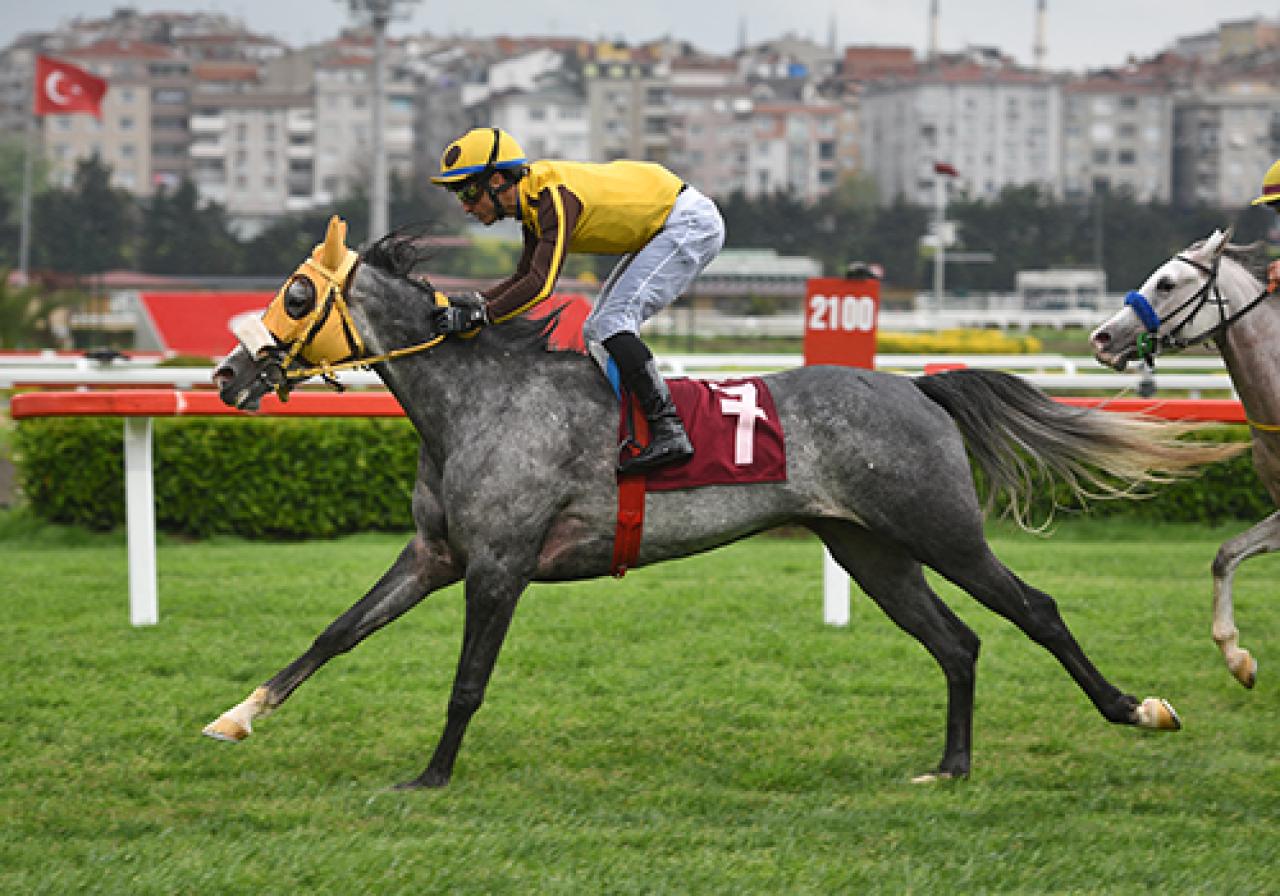 Bülent Koçak Koşusu'nu Aydost kazandı