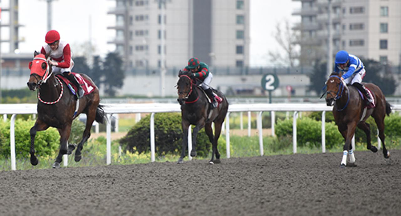 Vural C. Çakım Koşusu'nu Dagmar kazandı