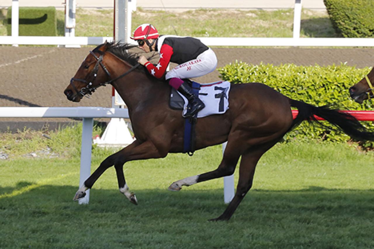 Eski başkanlarımızdan Tali Çalbatur’u saygıyla anıyoruz