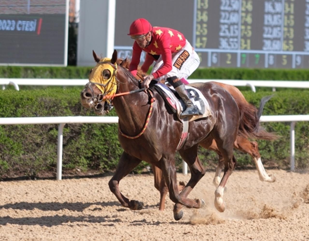 Ankara'da düzenlenen A3 koşuyu Regardless kazandı