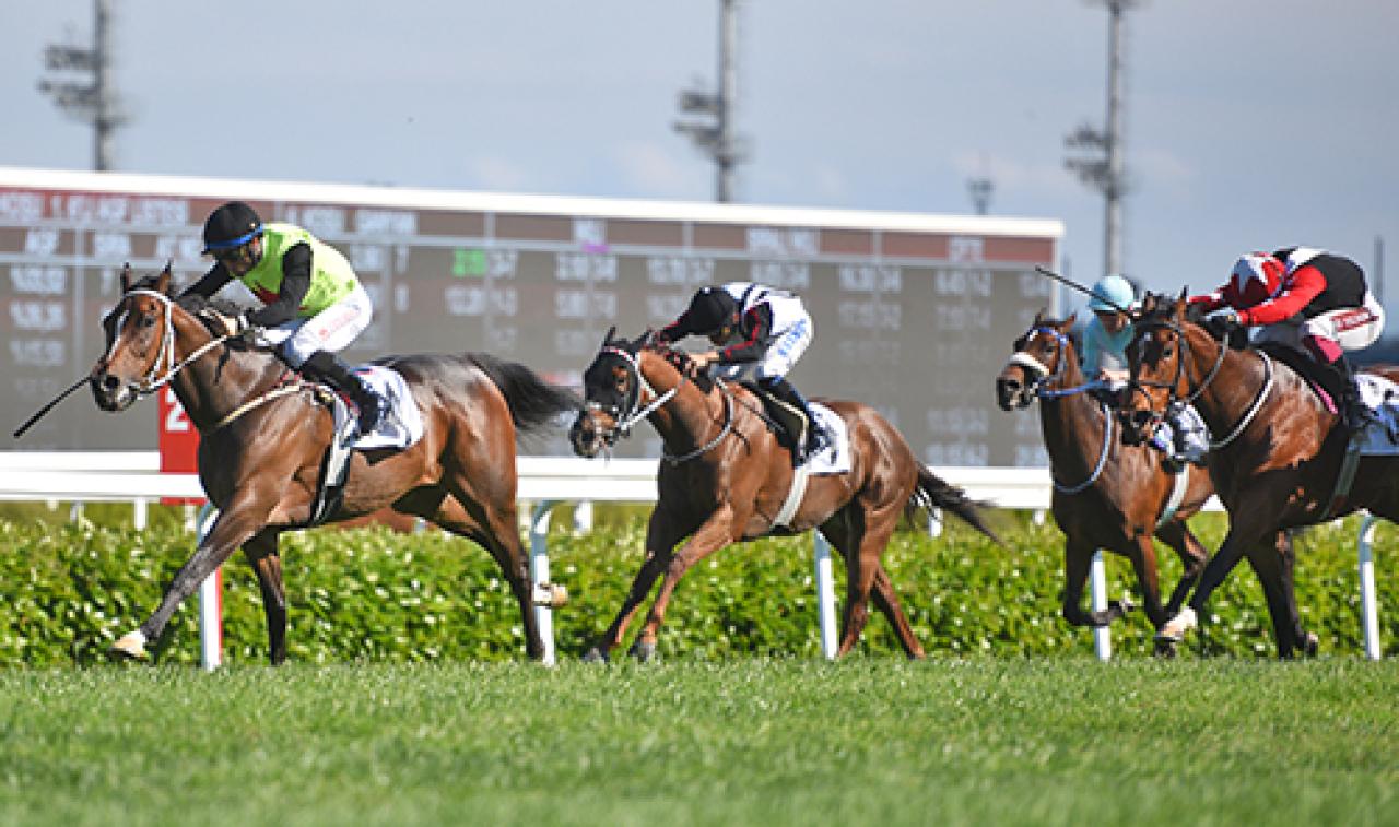 Tali Çalbatur Koşusu'nda zafere Anabella uzandı