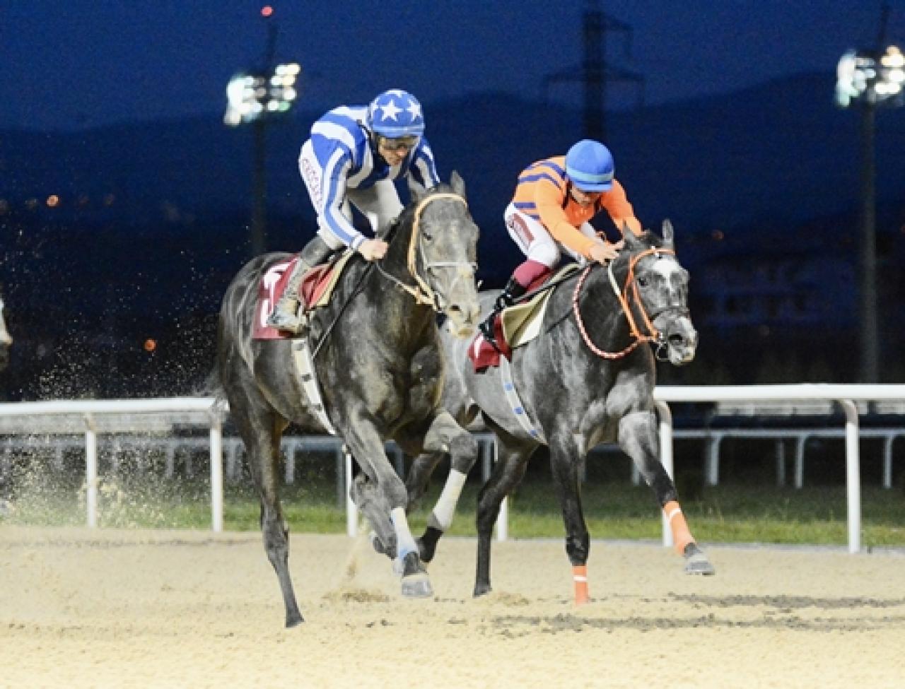 Kocaeli Veteriner Hekimleri Odası Koşusu’nu Litecoin kazandı