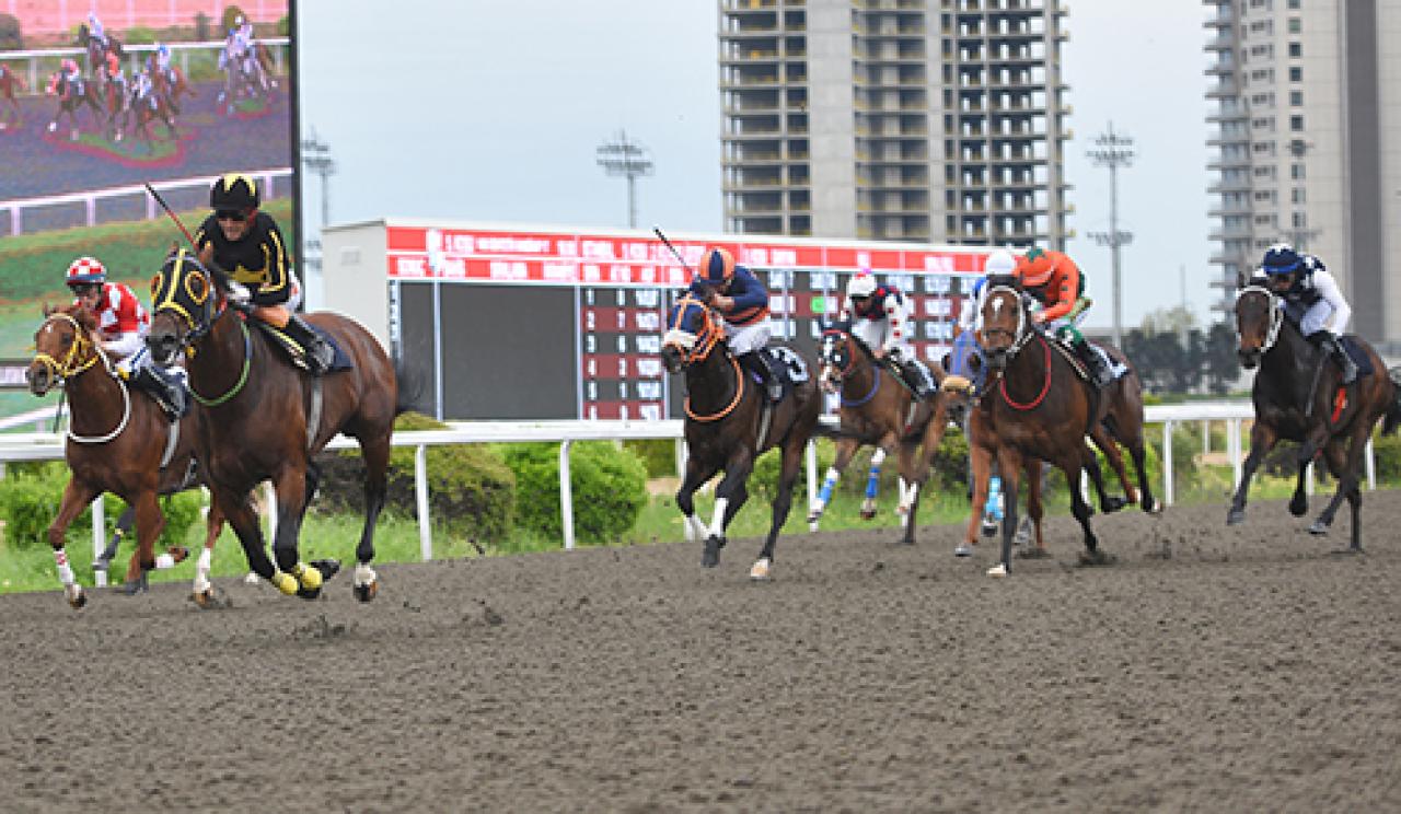 Malayan Racing Association Koşusu'nu Eliminatör kazandı