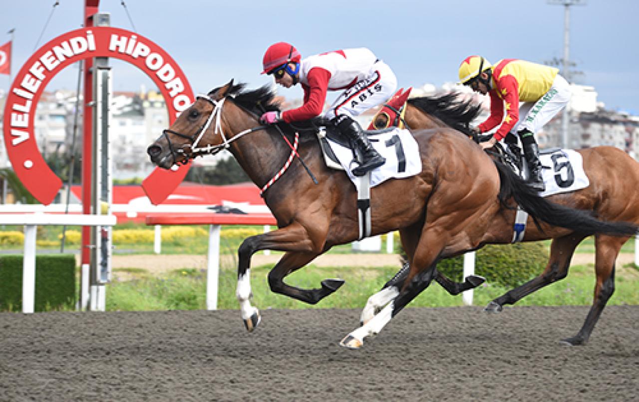 Preveze Koşusu'nda galibiyet Bright Fire'ın oldu