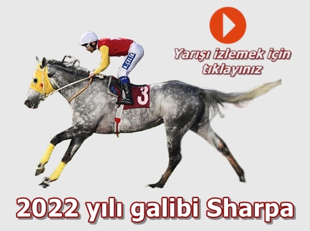 Merhum Asli Üyemiz Attila Midillili'yi saygıyla anıyoruz