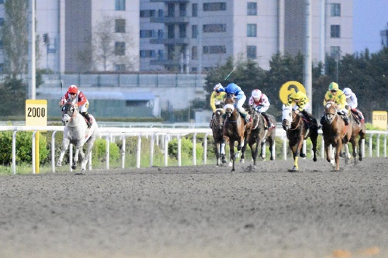 Cihangir Koşusu’nda galibiyete White Khan uzandı