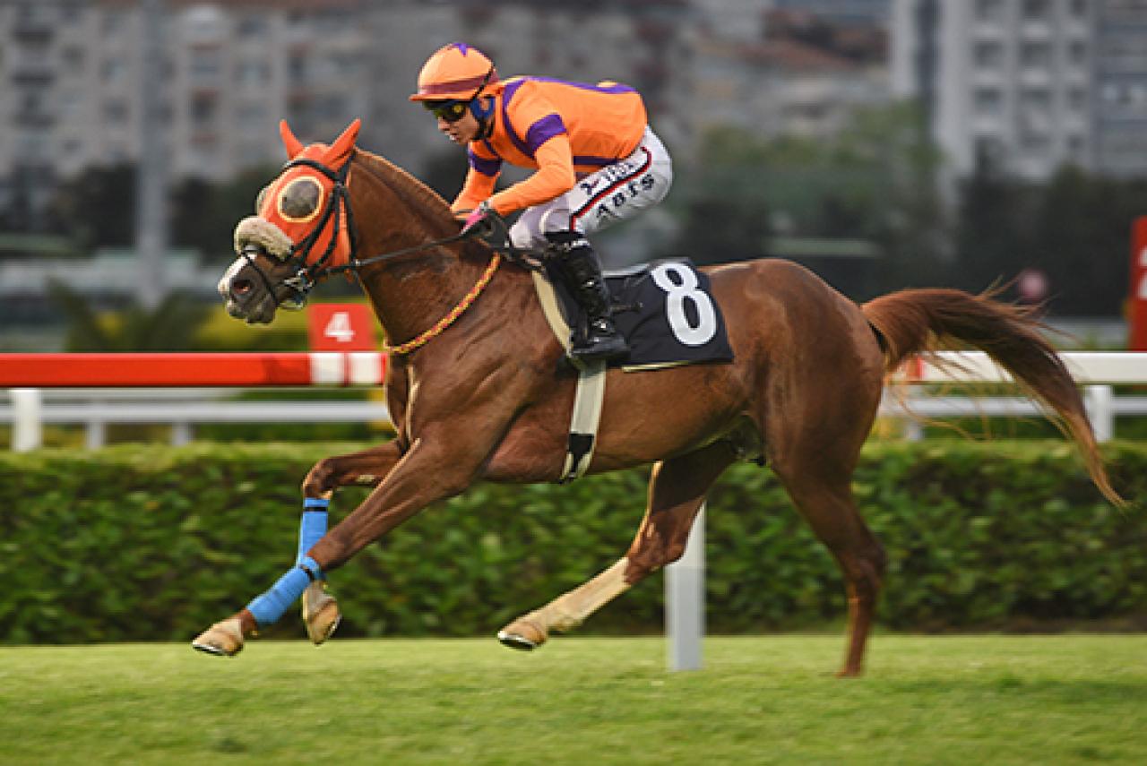 Engelliler Haftası Koşusu'nun galibi Şanverdi oldu