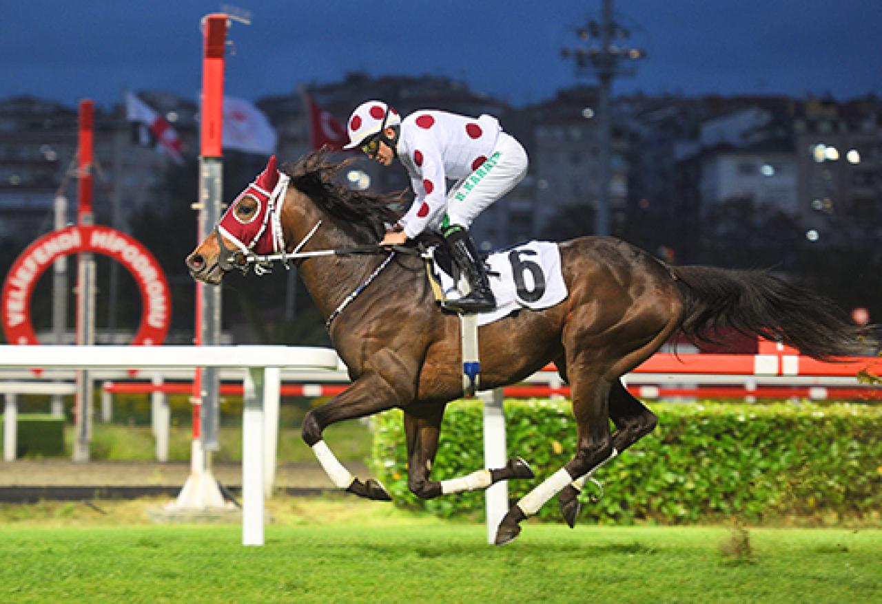 Fetih Koşusu'nu Go Hero kazandı